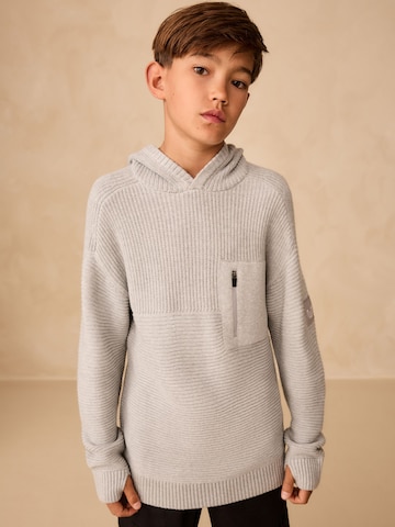 Next Sweater in Grey: front