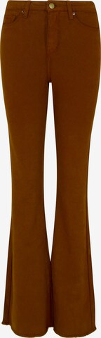 Apricot Flared Jeans in Brown: front