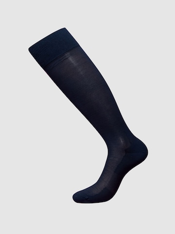 zd ZERO DEFECTS - Calcetines hasta la rodilla 'Mercerized cotton knee socks' en azul: frente
