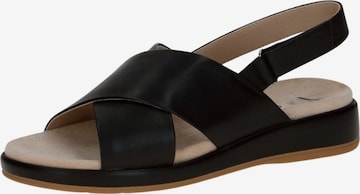 CAPRICE Sandals in Black: front