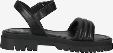 SANSIBAR Sandals in Black