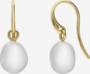 Lucardi Earrings 'Klassisch' in Gold: front