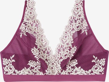 INTIMISSIMI Triangel BH 'Pretty Flowers' in Lila: predná strana