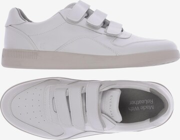 Everlane Sneakers & Trainers in 39 in White: front