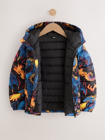 Next Winterjas in Gemengde kleuren