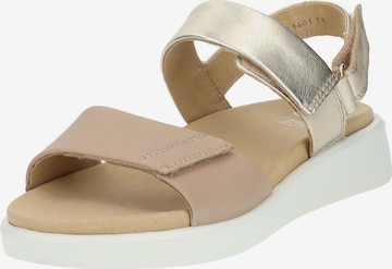 ARA Sandale in Beige: Vorderseite