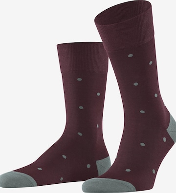 FALKE Socks 'Dot' in Red: front
