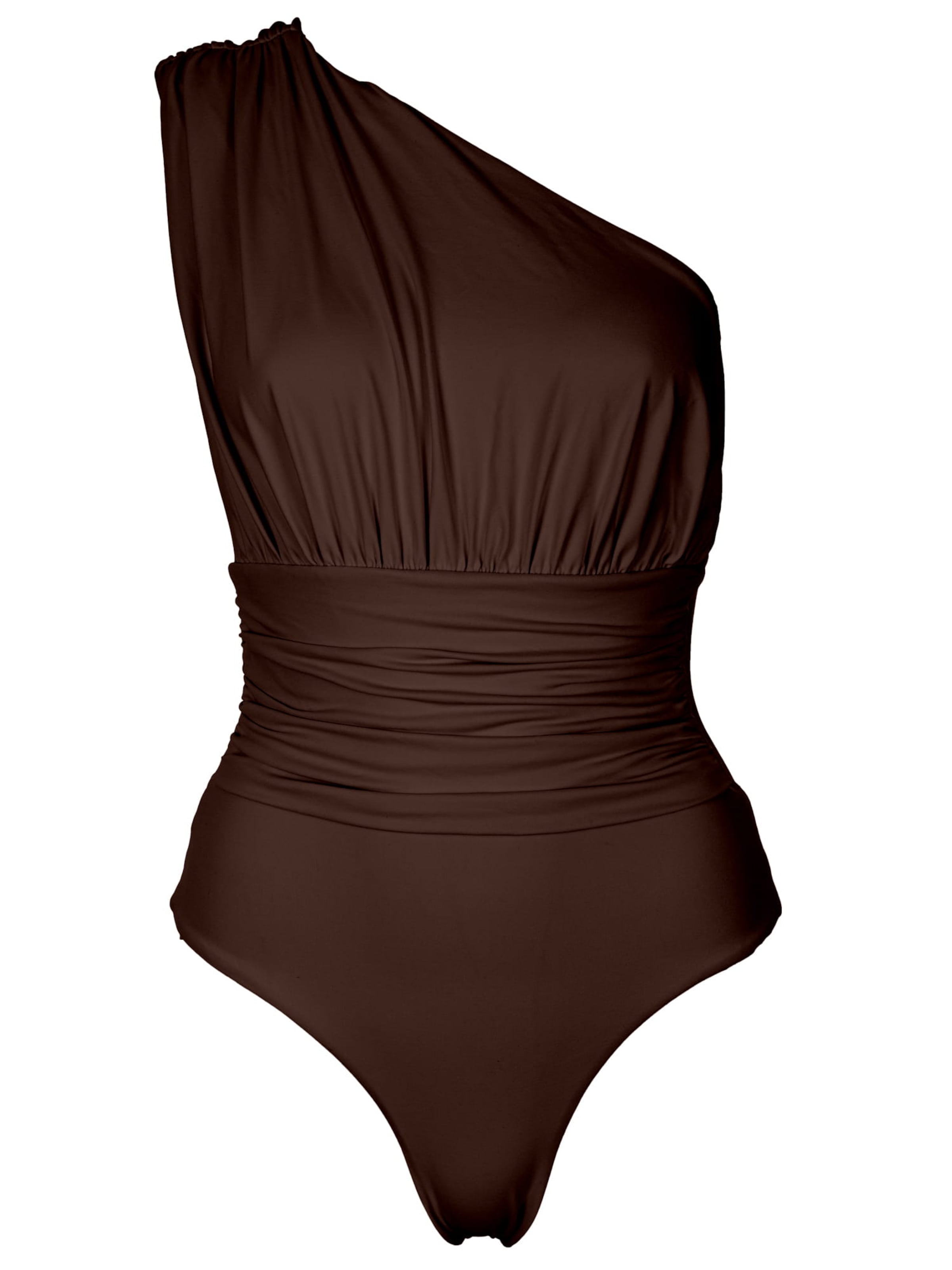 SEA ME SWIM Badeanzug 'MONACO'‌‌‌‌‌‌‌‌‌ in Braun: Vorderseite