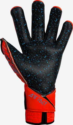 REUSCH Athletic Gloves 'Attrakt Fusion Guardian AdaptiveFlex' in Red