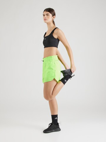 Bogner Fire + Ice - regular Pantalón deportivo 'WEDIS' en verde