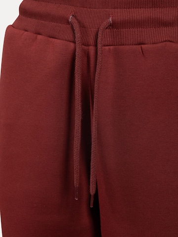 Effilé Pantalon Smilodox en marron