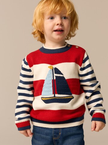 Next Pullover in Mischfarben: Vorderseite