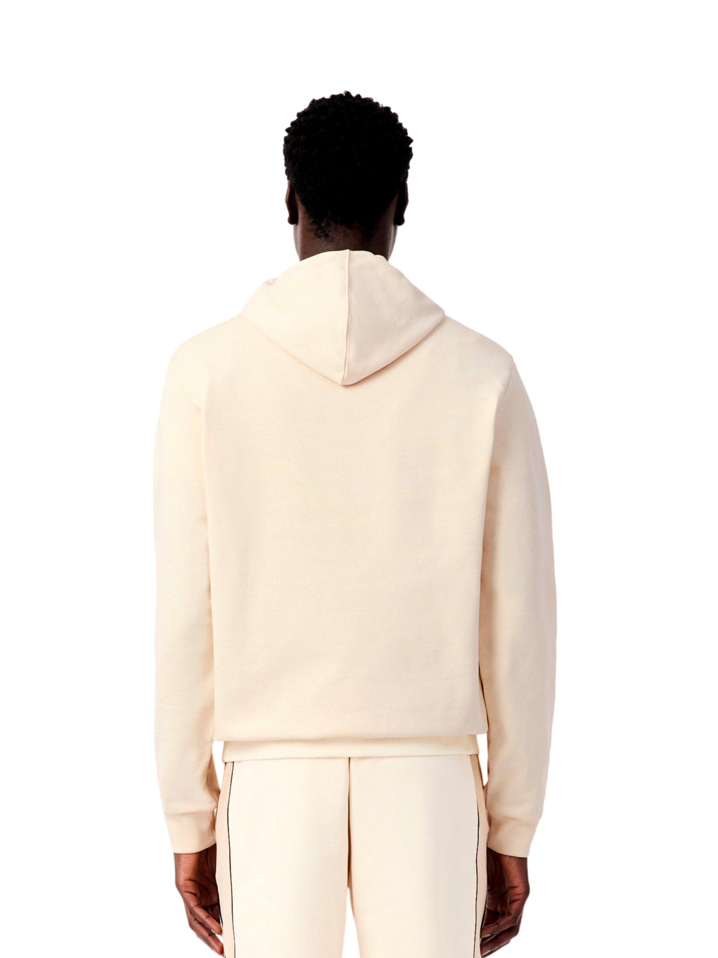 Pullover di LACOSTE in beige