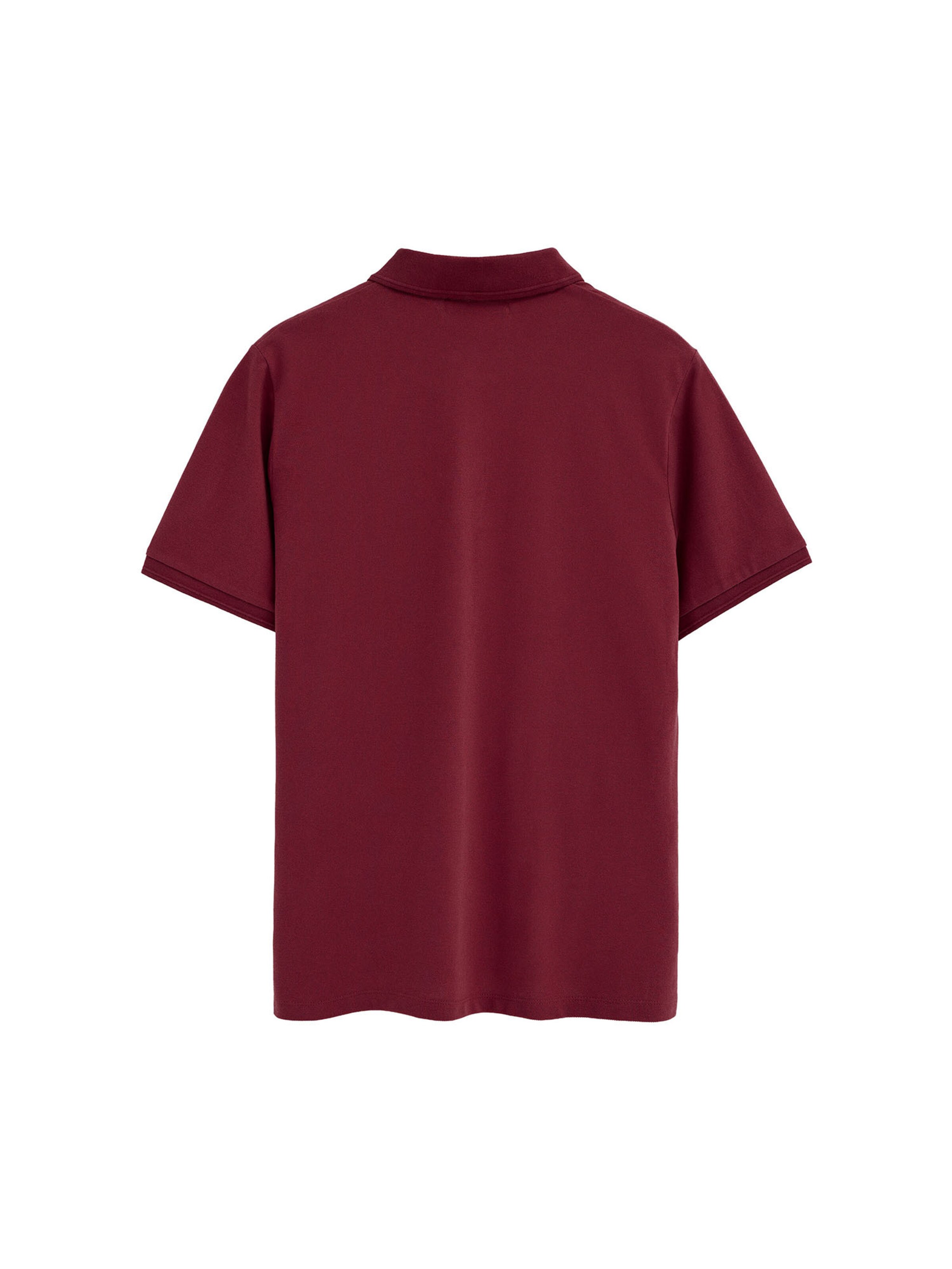 Polo Club Shirt in Mixed colors