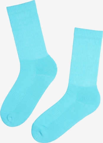 Sokisahtel - Calcetines ''Tennis'' en azul: frente