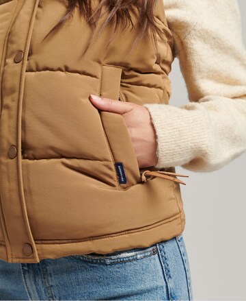 Superdry Vest 'Everest' in Brown