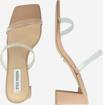 STEVE MADDEN Pantolette 'LILAH' in Transparent