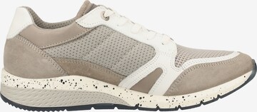 SALAMANDER Sneakers in Beige