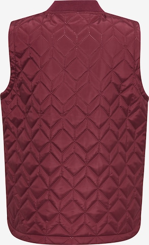 Hummel Sportbodywarmer in Lila