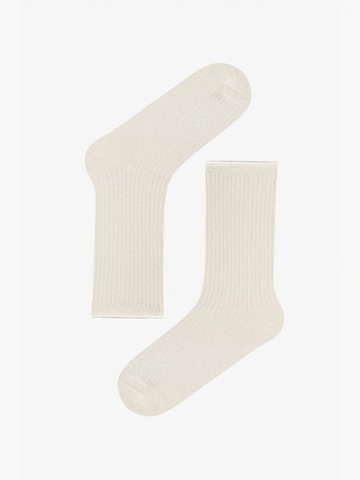 Penti Nogavice 'PENTI Dream Gleam Paar Glitzer-Sneakersocken' | mešane barve barva