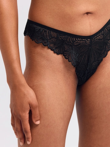 Erlich Textil - Tanga em preto