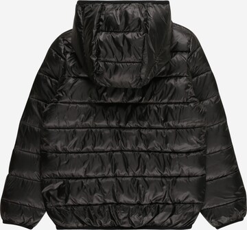 Veste d’hiver 'LEGACY' Champion Authentic Athletic Apparel en noir