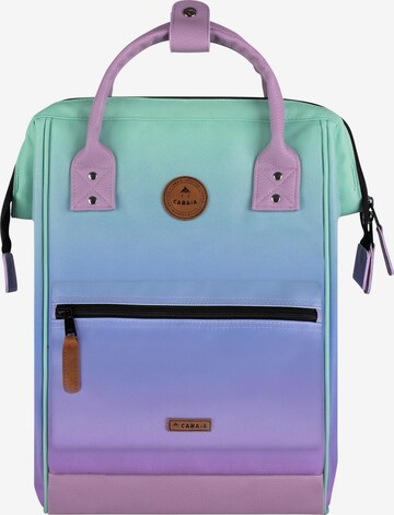 Cabaia Backpack in Mixed colors: front