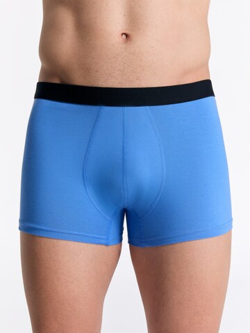 Albero Natur Boxer shorts 'Herren Trunkshorts aus Bio-Baumwolle' in Blue: front