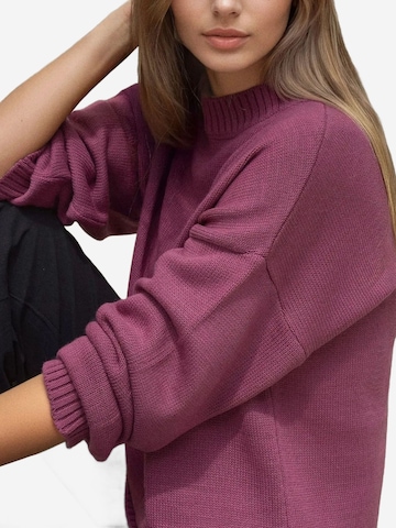 Hiccup Trui in Roze