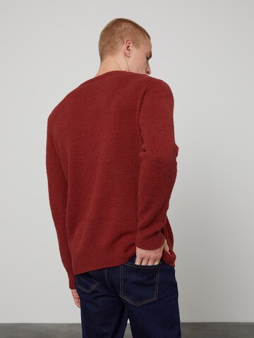 Coupe regular Pull-over 'Laurenz' DAN FOX APPAREL en marron