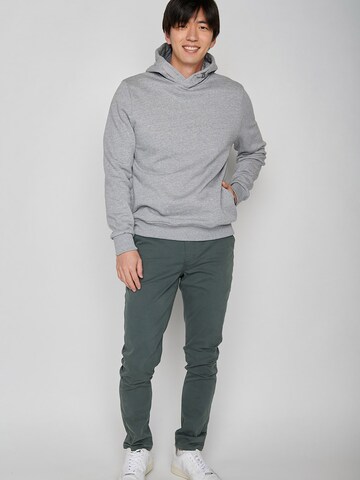 GREENBOMB Sweatshirt in Grijs