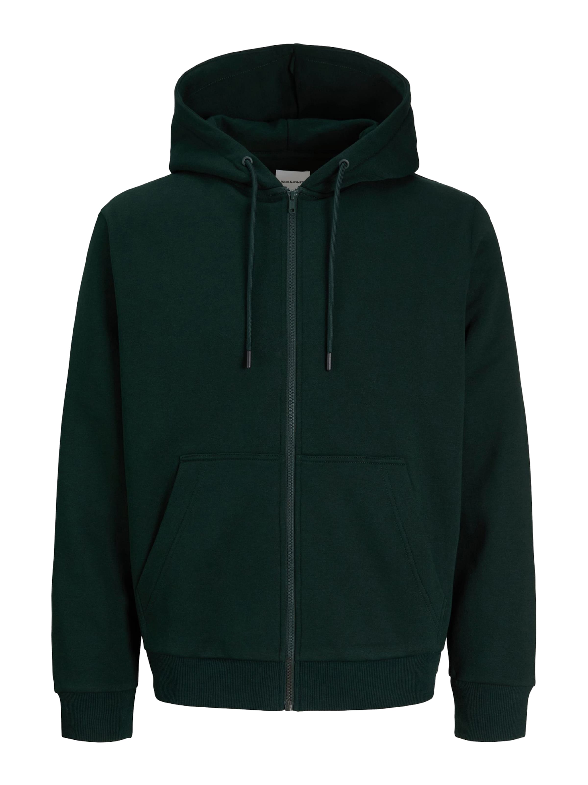 JACK & JONES Свитшот 'JJEBRADLEY' в Зеленый: спереди