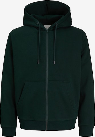 JACK & JONES Свитшот 'JJEBRADLEY' в Зеленый: спереди