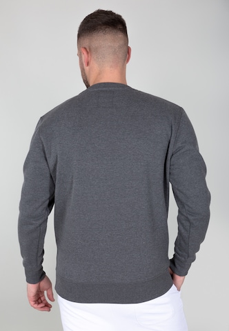 ALPHA INDUSTRIES Sweatshirt in Grau