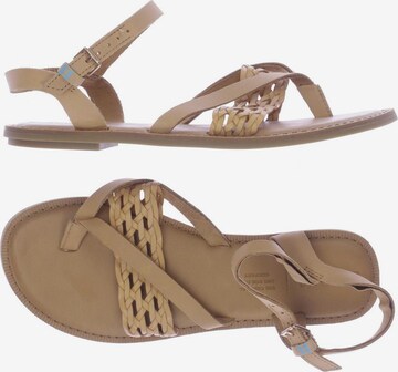 TOMS Sandalen 36,5 in Braun: predná strana