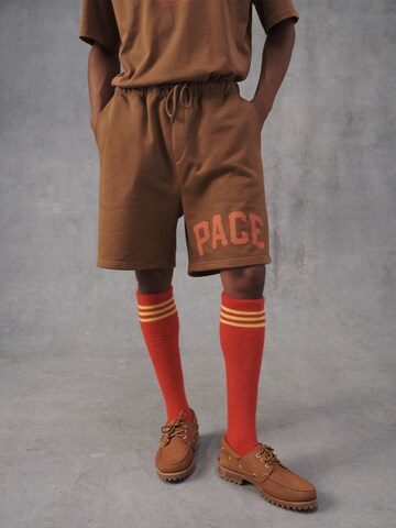 Loosefit Pantaloni 'Jordan' di Pacemaker in marrone: frontale