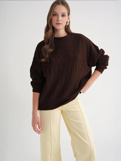 MixRay Pull-over 'Pullover' en S-M en marron, Vue avec produit
