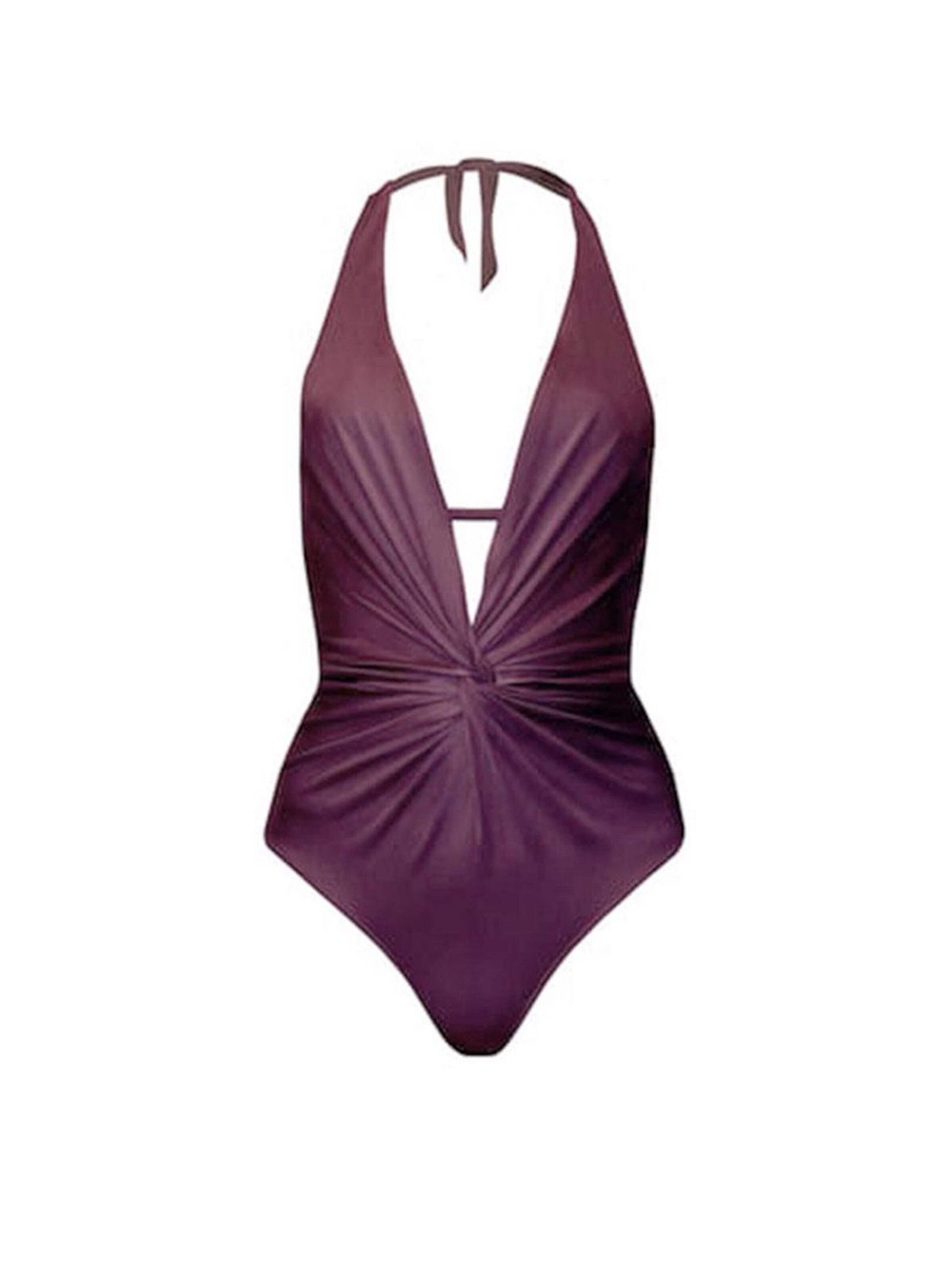 Rivus Swimsuit in Purple
