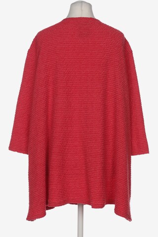 SPEIDEL Sweater & Cardigan in 8XL in Red