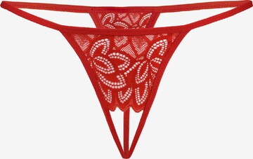 TEYLI - Tanga 'Osa' en rojo: frente