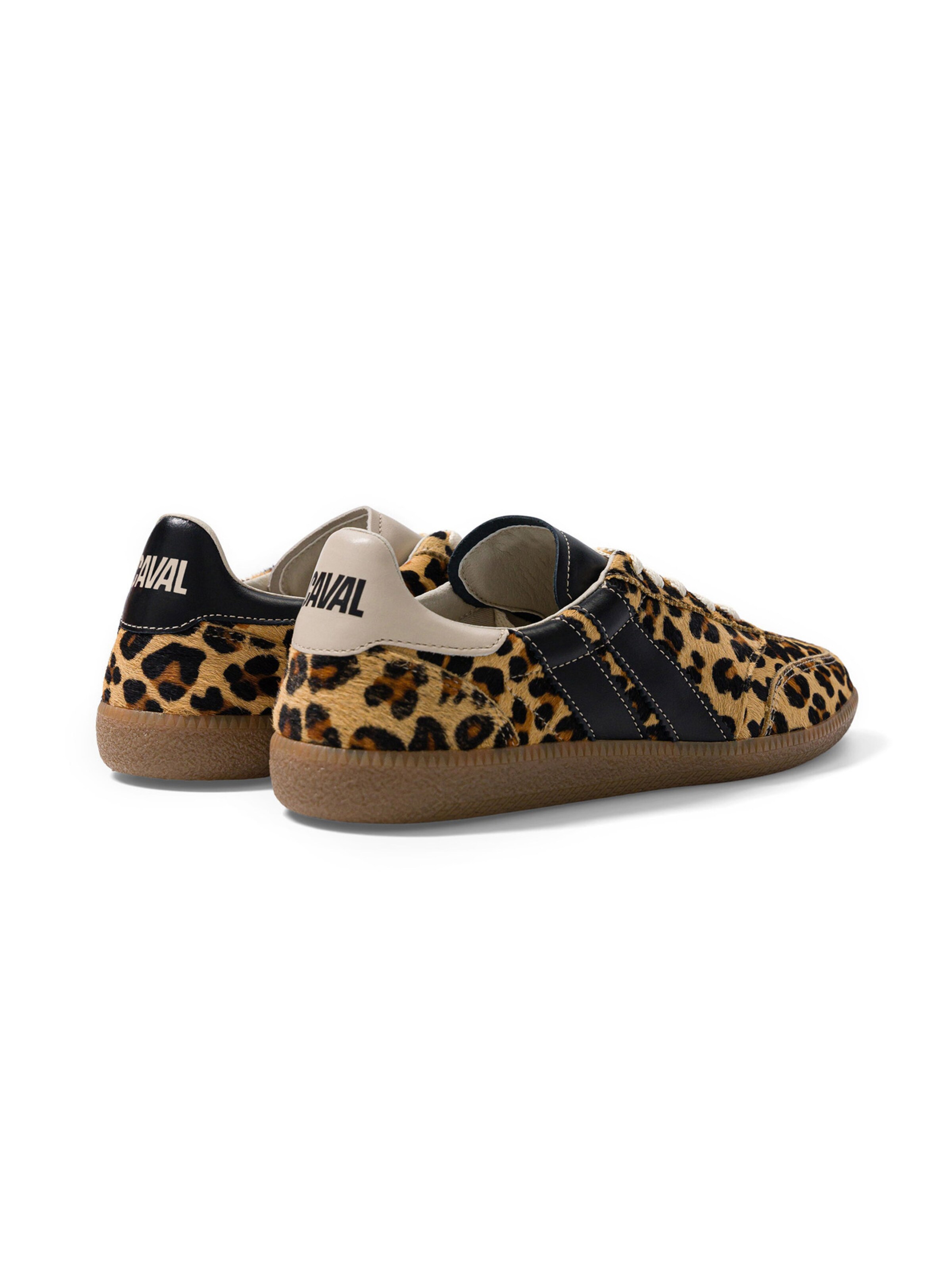 Caval Sneakers ' PULSE ' in Brown