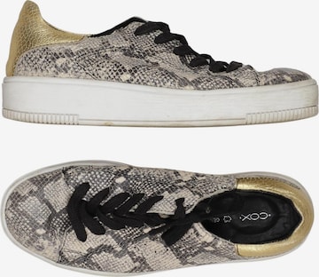 COX Sneaker 39 in Mischfarben: Vorderseite