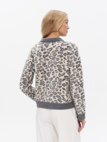 Passioni Knit Cardigan in Grey