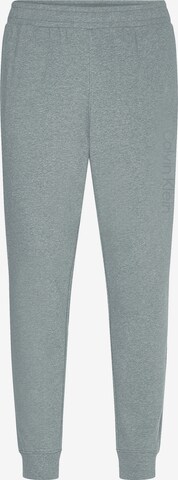 Calvin Klein Sport Pants in Grey: front