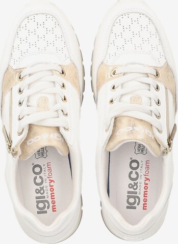 IGI&CO Sneakers in White