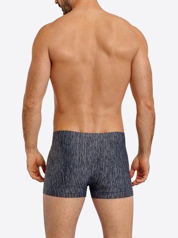Haasis Bodywear Boxer shorts in Black