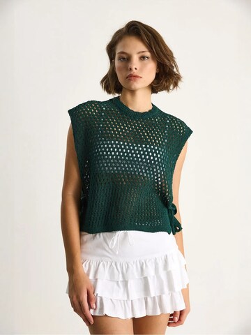 Pull-over Bianco Lucci en vert