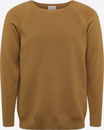 Calvin Klein Big & Tall Pullover in Beige: predná strana