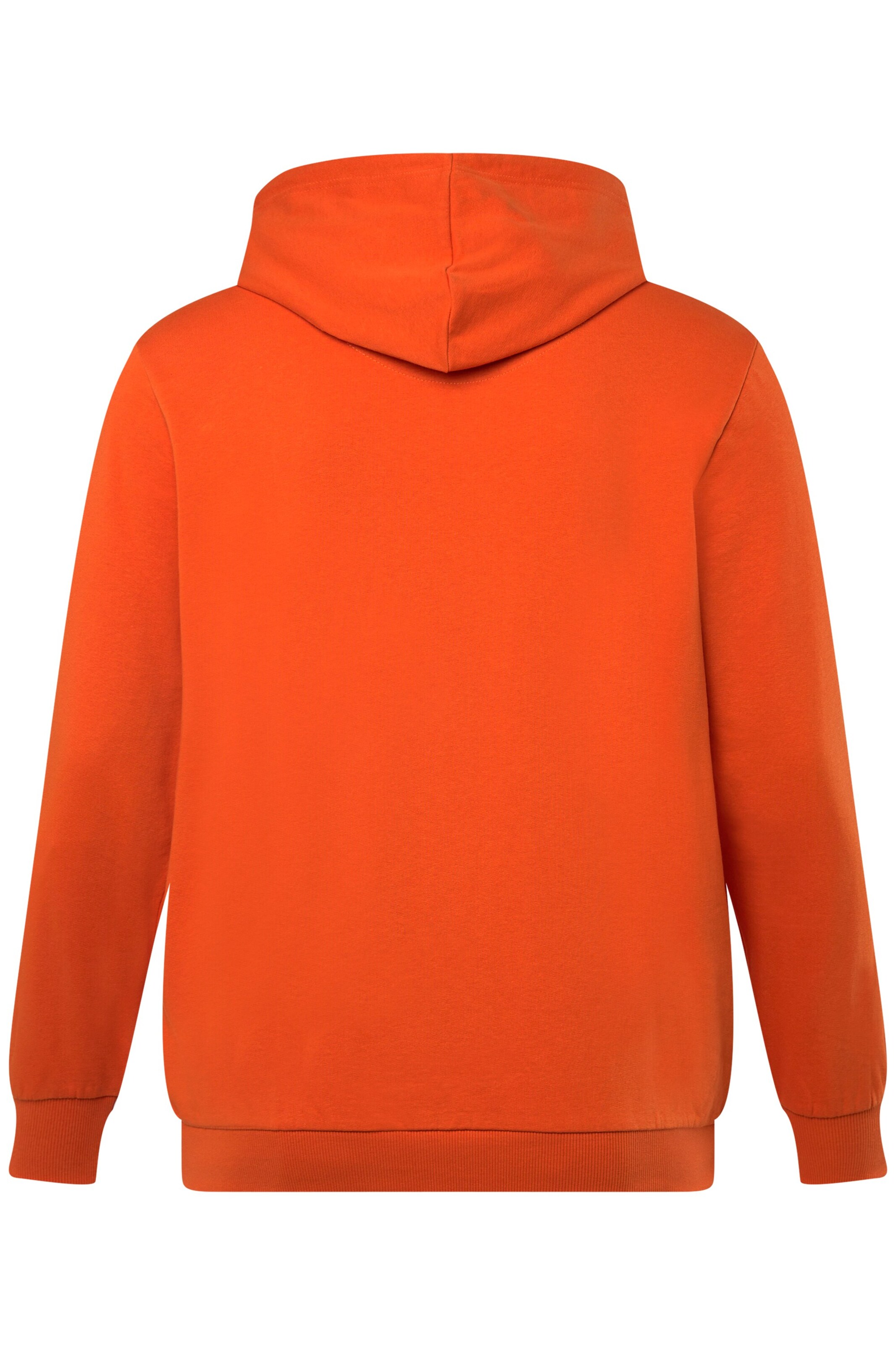 Men Plus Sweatshirt in Oranje