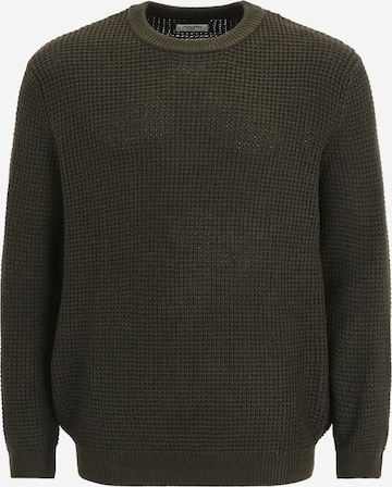 Jack & Jones Plus Свитер 'JJGLOBAL' в Зеленый: спереди